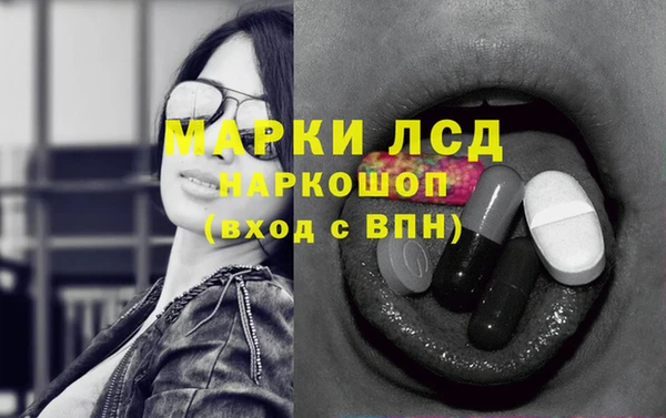 сатива Абинск