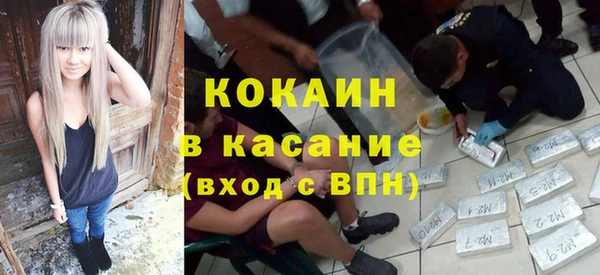 сатива Абинск