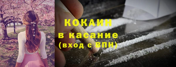 сатива Абинск